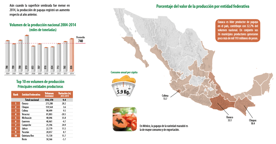 Gráfico: Sagarpa. México participa con una tercera parte de las exportaciones globales de papaya y sus ventas externas representan el doble frente al segundo exportador mundial, Brasil.