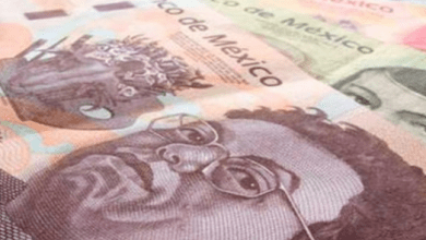 En la semana, el tipo de cambio tocó un mínimo de 23.8479 pesos y un máximo de 25.2892 pesos. El euro-peso alcanzó un mínimo de 25.8651 y un máximo de 27.2911 pesos por euro en las cotizaciones interbancarias a la venta.