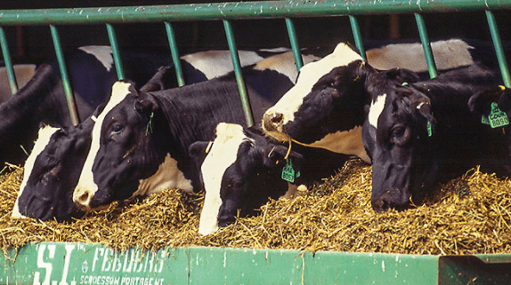 Cupos arancelarios lácteos: segundo panel EU-Canadá en el T-MEC. Dairy tariff quotas: second EU-Canada panel in the USMCA. Contingents tarifaires laitiers : deuxième panel UE-Canada au ACEUM.