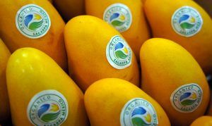 Balanza comercial agroalimentaria de México perfila séptimo superávit anual