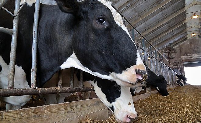 Las exportaciones agrícolas de Estados Unidos se han visto afectadas por las represalias de China.