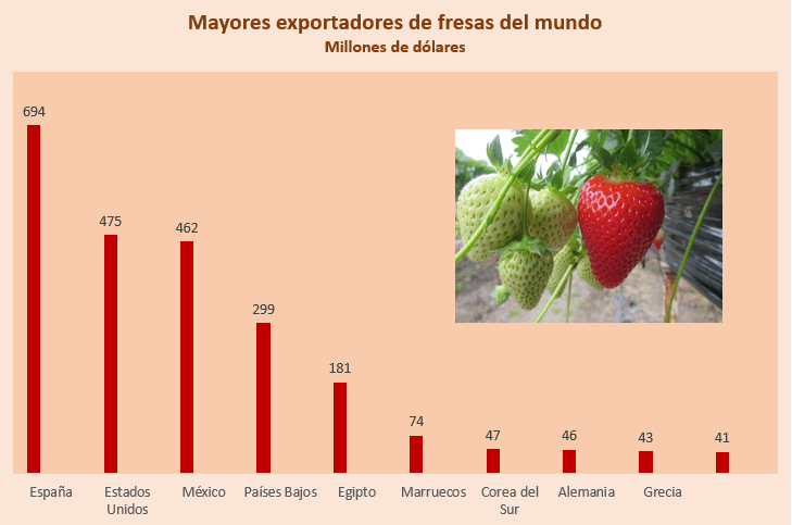 ¿Quién es el mayor exportador de fresas