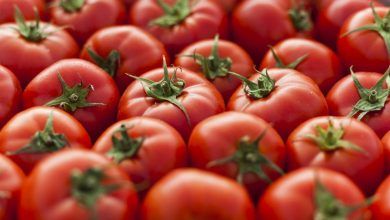 Los tomates frescos importados de México se rigen por acuerdos de suspensión desde 1996.