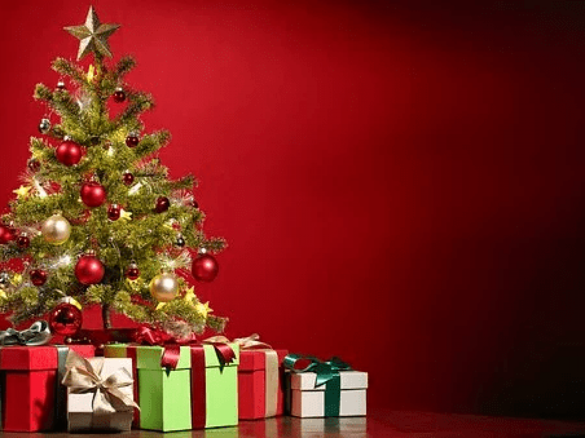 China abarca % de las exportaciones de árboles de navidad – Opportimes China abarca % de las exportaciones de árboles de navidad – Opportimes