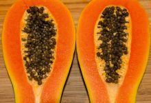 Os 5 maiores exportadores de papaia do mundo em 2023