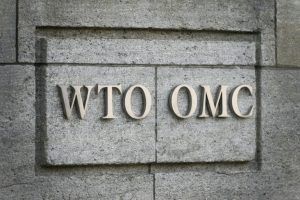 A total of 46 members of the World Trade Organization (WTO) were able to put in place a mechanism to ensure dispute settlement, as a measure to replace the Appellate Body.