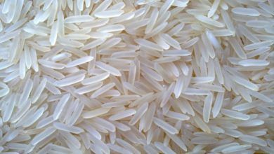 Después de estabilizarse en un nuevo pico en 2018, se pronostica que el comercio internacional de arroz se contraerá un 3.1% en 2019 a 46.8 millones de toneladas, presionado por la disminución de la demanda de importaciones de Bangladesh e Indonesia, así como de China, Nepal, Sri Lanka y varios países occidentales de África.
