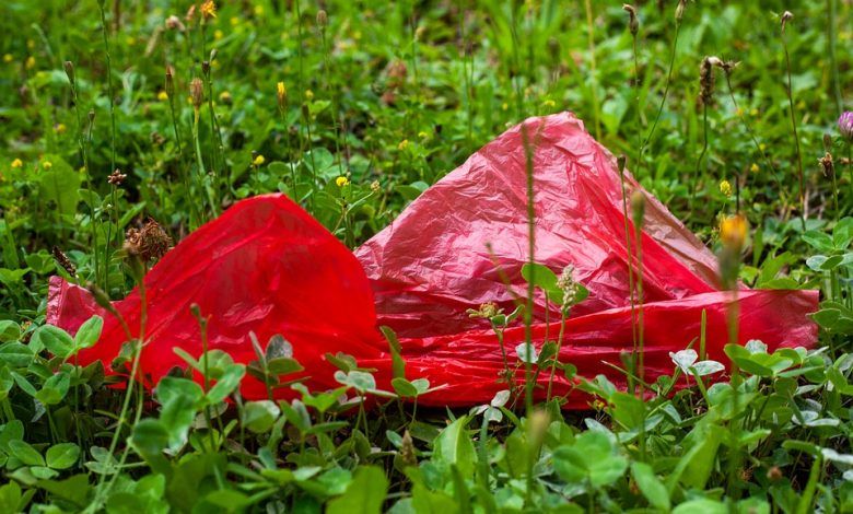 La Unión Europea tiene el objetivo de incrementar el reciclaje de plástico, una medida que atrae cada vez más la atención para aplicarse en México.