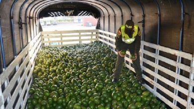 Por su parte, el limón se colocó en la segunda posición entre las 10 principales exportaciones agrícolas de México transportadas por camión a Estados Unidos.