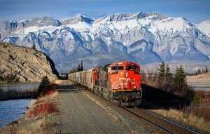 Canadian National Railway Company adquirió 300 nuevos contenedores refrigerados (reefers) en 2019.