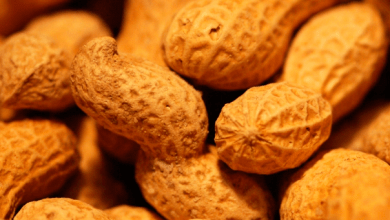 Peanut imports from Mexico would reach 235,000 tons in the 2019-2020 cycle, which ends in August, a similar amount for the 2020-2021 season, projected by the United States Department of Agriculture (USDA).
