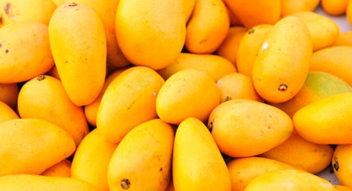 Os 5 maiores exportadores de mangas, goiabas e mangostões
