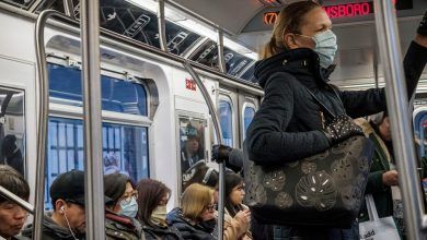 Dozens of countries restrict exports of face masks, gloves, medical devices and other related products to face the COVID-19 pandemic, the World Trade Organization (WTO) said in a report released Thursday.