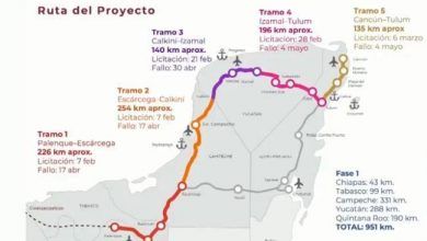 The National Fund for the Promotion of Tourism (Fonatur) deferred the issuance of the decision of the public tender for the highway project of Section 5 Cancun-Tulum of the Mayan Train "in order to deepen the analysis of the economic proposal presented."