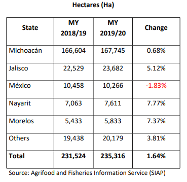 Exportaciones de aguacate