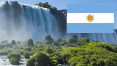 Argentina cayó una posición, de la 61 a la 62, en la Clasificación Mundial de Competitividad 2020, elaborada por el Instituto para el Desarrollo Gerencial (IMD, por su sigla en inglés), con sede en Suiza.