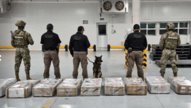 The General Administration of Customs (AGA) reported that it seized a shipment of 678.4 kilograms of cocaine in the Port of Manzanillo, Colima.