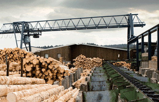 A dispute settlement panel at the World Trade Organization (WTO) found that the United States improperly applied countervailing duties on Canadian softwood lumber.