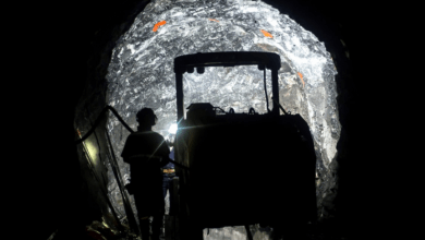 El Saucito, owned by Fresnillo plc, was placed in the first position among the largest silver mines in Mexico in 2019, according to data from the Mexican Mining Chamber (Camimex).