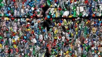 Regulations on plastics are being outlined for discussion at the next Ministerial Conference of the World Trade Organization (WTO), said its deputy director general, Alan Wolff.