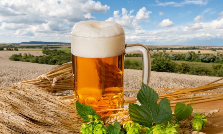The United States and Australia were the main destinations for Mexico's beer exports in 2020, accoding to Ministry of Economy.