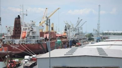 The Ministry of Communications and Transportation (SCT) established four actions to increase the movement of cargo in the Port of Tampico, Tamaulipas, in Mexico.