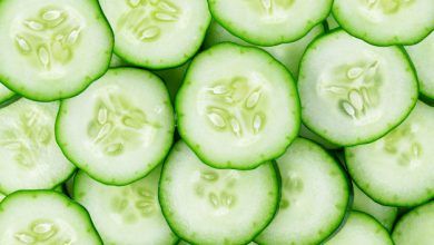 Spain and Mexico led the world in cucumber and pickle exports in 2020, according to data from Eurostat and the Ministry of the Economy.