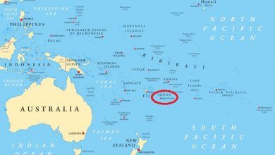 El comercio Internacional de Tonga equivale a 87% de su PIB, de acuerdo con un informe de la Organización Mundial de Comercio (OMC). Tonga's international trade is equivalent to 87% of its GDP, according to a report by the World Trade Organization (WTO).