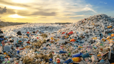 El Departamento de Comercio de Estados Unidos organiza una misión comercial a México en los sectores de reciclaje y gestión de residuos. The United States Department of Commerce is organizing a trade mission to Mexico in the recycling and waste management sectors.