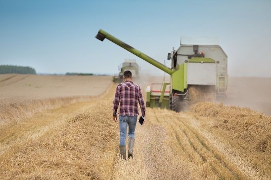 China rechazó este miércoles la instalación de un panel sobre importaciones de cebada desde Australia en el marco de la Organización Mundial de Comercio (OMC). China on Wednesday rejected the installation of a panel on barley imports from Australia within the framework of the World Trade Organization (WTO).