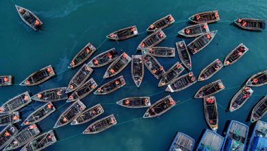 China no aclaró su objetivo de desmantelar 20,000 barcos pequeros como parte de su respuesta a la Unión Europea. China did not clarify its goal of dismantling 20,000 small ships as part of its response to the European Union.