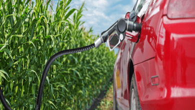 Los gobiernos de México y Estados Unidos analizaron la posibilidad de políticas coordinadas sobre mezclas de gasolina con etanol. The governments of Mexico and the United States analyzed the possibility of coordinated policies on blends of gasoline with ethanol.