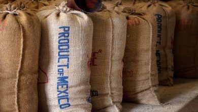 El Consejo de Gabinete de Panamá informó que aumentó el control en las importaciones de café tostado por razones de salud pública. The Cabinet Council of Panama reported that it increased control over roasted coffee imports for public health reasons.
