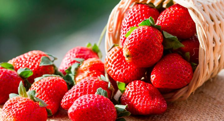 Consumo de morango nos Estados Unidos: Califórnia ou México 