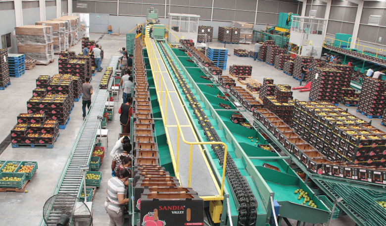 Las exportaciones de México registraron un crecimiento interanual de 15.2% en julio de 2021, informó este viernes el Inegi. Mexico's exports registered a year-on-year growth of 15.2% in July 2021, Inegi reported this Friday.