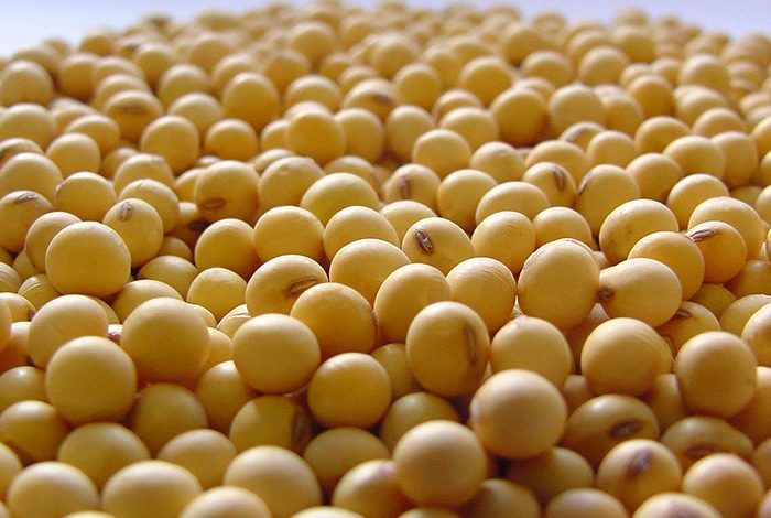 Importaciones mundiales de soya. World soybean imports. Importations mondiales de soja. Importações mundiais de soja.