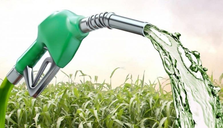 Produção de biodiesel e etanol no Brasil