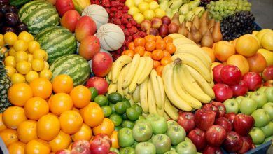 La producción mundial de frutas aumentó 54% entre 2000 y 2019, a 883 millones de toneladas. World fruit production increased 54% between 2000 and 2019, to 883 million tons.