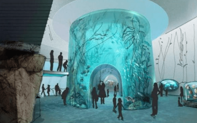 El Nuevo Acuario Mazatlán está programado para iniciar operaciones en octubre de 2022. The New Mazatlán Aquarium is scheduled to begin operations in October 2022.