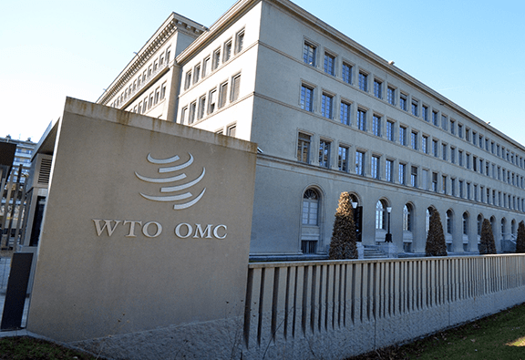 La Organización Mundial del Comercio (OMC) logró pactar un amplio acuerdo en la XII Cumbre Ministerial (MC12) en Ginebra, Suiza. The World Trade Organization (WTO) managed to reach a broad agreement at the XII Ministerial Summit (MC12) in Geneva, Switzerland.
