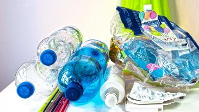 Destacadamente 12 empresas han tomado acciones contra la contaminación plástica, de acuerdo con Loop Industries. Notably, 12 companies have taken action against plastic pollution, according to Loop Industries.