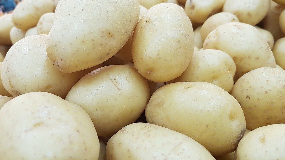 México debe permitir ya las importaciones de papa estadounidense. Mexico must now allow imports of US potatoes.