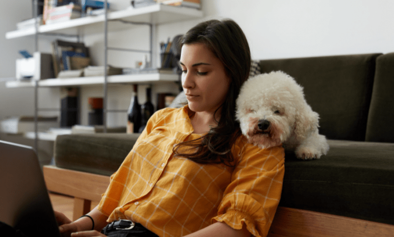 Los ingresos de AT&T registraron una reducción de 1.7% en 2021 en forma interanual, a 168,864 millones de dólares, informó la empresa este miércoles.