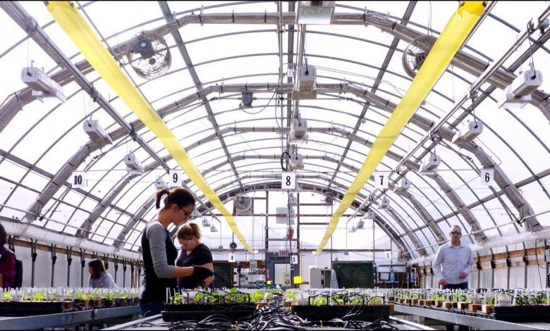 Las IFNB continúan aprovechando un entorno económico en fase de recuperación, con un sector agropecuario resiliente. NBFIs continue to take advantage of an economic environment in the recovery phase, with a resilient agricultural sector.