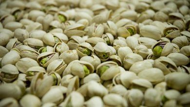 Las exportaciones de pistaches estadounidenses tendrán un crecimiento interanual de 23.6% en la temporada 2021-2022. US pistachio exports will have a year-on-year growth of 23.6% in the 2021-2022 season.
