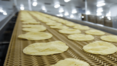 Gruma, uno de los productores más grandes de harina de maíz y tortillas en el mundo, invirtió 541 millones de dólares. Gruma, one of the largest producers of corn flour and tortillas in the world, invested 541 million dollars.