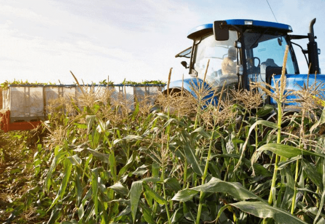 China, India y Estados Unidos fueron los mayores consumidores de fertilizantes nitrogenados a nivel mundial en 2021. China, India and the United States were the largest consumers of nitrogenous fertilizers globally in 2021.