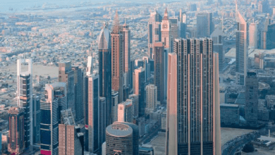 La diversificación económica de los Emiratos Árabes Unidos (EAU) sigue siendo una prioridad de la política gubernamental. The economic diversification of the United Arab Emirates (UAE) remains a government policy priority.