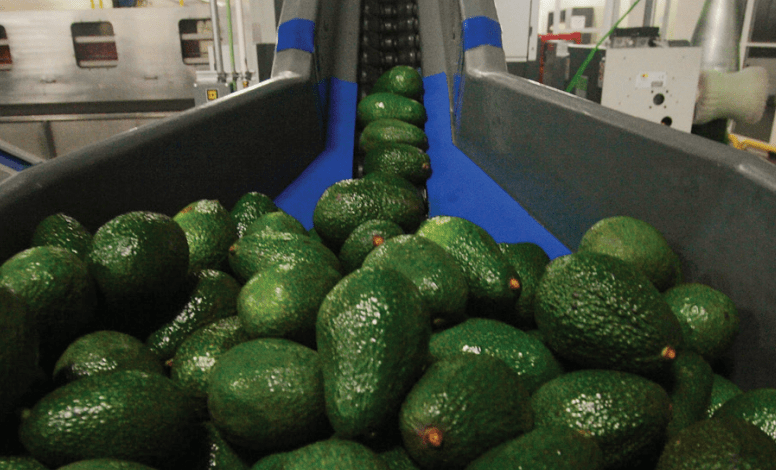 México ganó a Costa Rica un panel de solución de controversias sobre un caso de comercio de aguacate en el marco de la OMC. Mexico won a dispute settlement panel against Costa Rica on an avocado trade case within the framework of the WTO.
