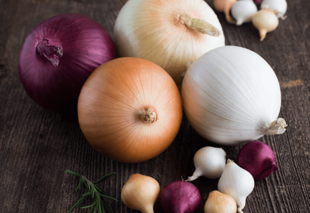 Las importaciones de cebollas frescas y refrigeradas a Estados Unidos batieron récord en 2021. Imports of fresh and chilled onions to the United States hit a record in 2021.
